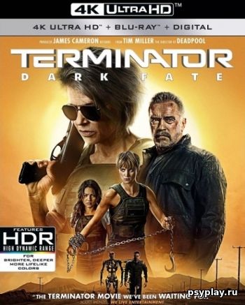 Терминатор: Темные судьбы (2019) Терминатор: Темные судьбы (2019)