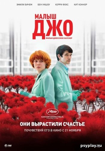 Малыш Джо (2019)