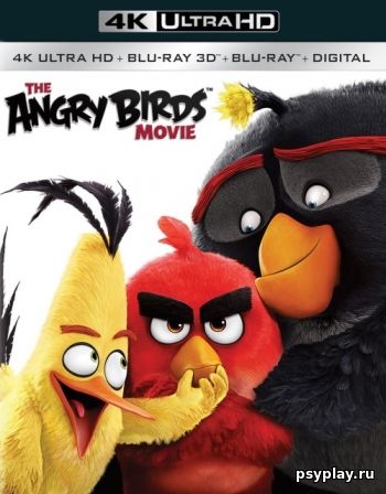 Angry Birds в кино (2016) 4K UHD BDRemux 2160p
