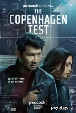 Копенгагенский тест (2025)