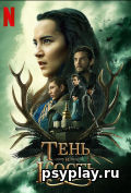 Тень и кость (сериал)