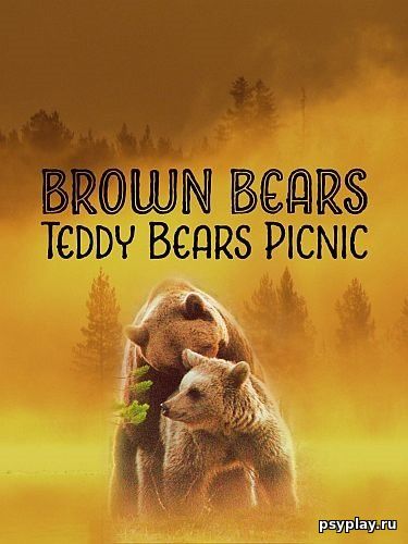 Бурые медведи: пикник в дикой природе / Brown Bears - Teddy Bears Picnic (2020/HDTVRip) 720p