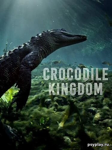 Царство крокодилов / Crocodile Kingdom (2020/HDTVRip) 720p